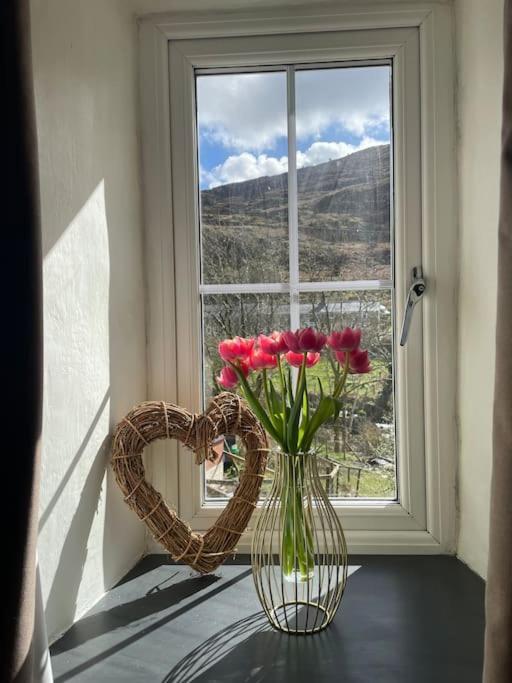 Pen-Y-Bryn Cottage Blaenau Ffestiniog Eksteriør billede